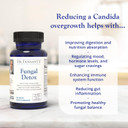 Dr. Tennant'S Fungal Detox | Candida Cleanse, Mood & Hormone Balance | Promotes Healthy Yeast Levels & Gastrointestinal Health