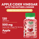 Apple Cider Vinegar Jelly Bean Gummies With The Mother And Ginger, Vegetarian Dietary Supplements For Men And Women, Digestive Health Support, 120 Apple Blast Jelly Beans, Kosher