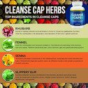 Herbal Cleanse Caps - Regular Strength | 100% Natural Laxative And Colon Cleanser