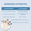 Designer Wellness, Designer Egg, Natural Egg Yolk & Egg White Protein Powder, Keto And Paleo Friendly, Low Calorie, Less Fat And Cholesterol, Classic Vanilla, 1.55 Pound