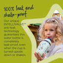 Tommee Tippee Insulated Straw Bottle, 9Oz, Spill Proof Toddler Water Bottle For 12 Months+, Flip Lid Helps Keep Straw Clean, Pink And Grey, 2 Count