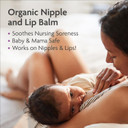 Trilastin Vitamin-Infused Nipple And Lip Balm | Breastfeeding Essentials | Lanolin-Free Nipple Cream | Nipple Butter | Postpartum Must-Haves Trilastin Vitamin-Infused Nipple And Lip Balm | Breastfeeding Essentials | Lanolin-Free Nipple Cream | Nipple Butter | Postpartum Must-Haves