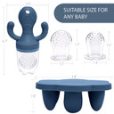 Little Twig Baby Fruit Feeder Pacifier Teether | Food Freezer Tray With Lid | Bpa Free Silicone Freezable Teether | Feeding Set For Breast Milk Ice Cubes, Baby Food, Fruit Purees (Steel Blue)