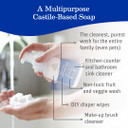 Earth Mama Wild Peppermint Hand & Body Wash | Foaming Castile Soap Liquid And Hand Soap, Made With Organic Wild Mint & Peppermint Oil, 5.3 Fl Oz