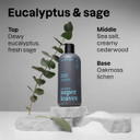 Attitude Shower Gel Body Wash For Men, 98% Natural Origin Ingredients, Paraben & Phthalate Free, Ewg Verified, Cleanses Without Drying, Eucalyptus & Sage,14 Fl Oz Attitude Shower Gel Body Wash For Men, 98% Natural Origin Ingredients, Paraben & Phthalate Free, Ewg Verified, Cleanses Without Drying, Eucalyptus & Sage,14 Fl Oz