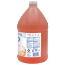 Dial Professional Original Antibacterial Defense Foaming Hand Wash, 1 Gallon Refill Bottle, 128 Fl Oz