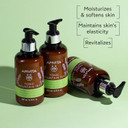 Apivita Tonic Mountain Tea Mousturizing Body Milk | Moisturizes, Softens Tones & Revitalizes With Mountain Tea & Propolis, 200 Ml / 6.67 Oz
