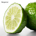 Calvin Klein Ck One Body Lotion 8.5 Fl Oz