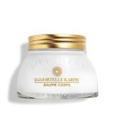 L'Occitane Immortelle Shea Body Balm 6.90 Oz
