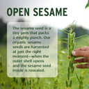 Banyan Botanicals Sesame Oil  Organic & Unrefined Ayurvedic Oil For Skin, Hair, Oil Pulling & More  Multiple Sizes  34Oz.  Non Gmo Sustainably Sourced Vegan