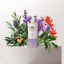 Daily Hydration Hand And Body Lotion - Enriched With Vitamin E, Cocoa Butter Lotion For Skin Hydration - Lavender - 10.14 Oz
