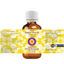 Dève Herbes Pure Organic Moringa Oil (Moringa Oleifera) Cold Pressed 5Ml (0.16 Oz)
