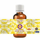 Deve Herbes Pure Cotton Seed Oil (Gossypium Spp) With Glass Dropper Cold Pressed 5Ml (0.16 Oz)