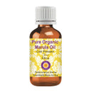Dève Herbes Pure Organic Marula Oil (Sclerocarya Birrea) Cold Pressed 10Ml (0.33 Oz) Dève Herbes Pure Organic Marula Oil (Sclerocarya Birrea) Cold Pressed 10Ml (0.33 Oz)