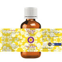 Dève Herbes Pure Organic Prickly Pear Seed Oil (Opuntia Ficus-Indica) Cold Pressed 10Ml (0.33 Oz) Dève Herbes Pure Organic Prickly Pear Seed Oil (Opuntia Ficus-Indica) Cold Pressed 10Ml (0.33 Oz)