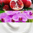 Calvin Klein Euphoria Body Lotion With Notes Of Pomegranate, Black Orchid, Lotus Blossom & Mahogany Wood 6.7 Fl Oz Calvin Klein Euphoria Body Lotion With Notes Of Pomegranate, Black Orchid, Lotus Blossom & Mahogany Wood 6.7 Fl Oz