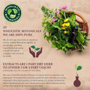 Vitex Berry Essential Oil 5 Ml