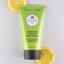 Dionis - Goat Milk Skincare Scented Whipped Body Scrubs - Intensely Hydrating Exfoliating Wash For Softer, Smoother Skin, Made In The Usa - Cruelty Free And Paraben Free, Verbena & Cream, 6Oz