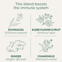 Traditional Medicinals Tea, Organic Echinacea Plus Elderberry, Boosts The Immune System, 16 Tea Bags