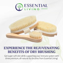 Essential Living: 3-Piece Dry Brushing Spa Kit - 1 Face Brush, 2 Body Scrub Brushes And A Cotton Bag - Body And Skin Care For Exfoliation, Blood Circulation And Lymphatic System Stimulation Support
