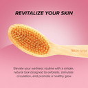 Skin Gym Dry Body Brush Exfoliating Bath Scrubber With Soft And Stiff Bristles For Cellulite Treatment, Lymphatic Drainage And Blood Circulation Improvement