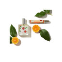 Good Chemistry Sugar Berry Eau De Parfum