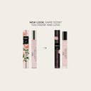 Nest New York Seville Orange Perfume Oil (Rollerball) - 6 Ml - Vegan & Cruelty Free