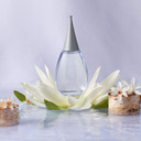 Shi By Alfred Sung For Women, Eau De Parfum Spray, 1.7-Ounce