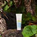 The Pure Jeju Cica Exfoliating Face Wash Peeling Gel 5.07Fl.Oz.(150Ml) With Centella Asiatica Extract (Peeling Gel)