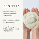 Yunjac Whole Plant Effect Daily Foam&Exfoliant(2.82Oz)-Soothing Enzyme-Infused Matcha Exfoliant Suitable For Sensitive Skin. Infused With Oil Or Water,Deeply Cleanses And Soothes Sensitive Skin