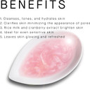 Arcona Triad Pads - Cold Processed Cranberry And Rice Toner, Brightening Toner Pads For Face, 45 Facial Toner Pads. Made In The Usa