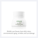 Ecco Bella Plant Based Recharge Day Cream Face Moisturizer - Vegan Skin Moisturizing Face Cream With Fortisomes Eco-Protection & Blue Light Shield - Cruelty Free - Hydrating Formula - 1.7 Oz