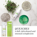 Goldfaden Md Mist Rx | Daily Nutrient Face Mist | W/Aloe Vera Water, Plant Stem Cells & Antioxidants | Delivers Hydration & Revitalizes | Nourishing Makeup Setting Spray | 2.0 Fl Oz / 80 Ml