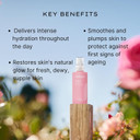 Jurlique - Rare Rose Lotion 50Ml