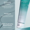 Mizon Cicaluronic Gel Treatment With Centella Asiatica Hyaluronic Acid Vitamin B5 86% Natural Ingredients Mositurizing Soothing Korean Skincare (50Ml/1.69Fl Oz)