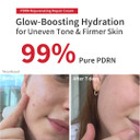 Pdrn Rejuvenating Repair Cream, 99.9% Pure Salmon (Sodium Dna), Bakuchiol, Cica Exosome, Niacinamide, Aging Care, Wrinkle Care, Intensive Glow, Skin Elasticity, 40Ml 1.35 Fl Oz