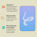 Bubble Skincare Day Dream Vitamin C Serum For Face - Hydrating Face Serum With Niacinamide + Ceramides - Helps Even Skin Tone And Improve Texture From Sun Damage - Summer Skin Care Essential (30Ml)