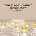 Dead Sea Collection Serum For Face With 2.5% Retinol, Dead Sea Minerals, And Vitamin E  Anti Aging Nourishing Skin Care Moisturizer To Reduce Wrinkles (1.01 Fl. Oz)