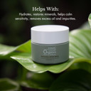 Scientific Organics Phytocell Detox Mask - Hydrating Facial Mask With French Green Clay, Seaweed + Plant Stem Cells - Draws Out Impurities + Excess Oils (1.6 Oz, 50 Ml)