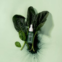 Ere Perez - Natural Quandong Green Booster Face Serum | Calms, Balances, Hydrates, Non-Oily | Lactic Acid, Hyaluronic Acid, Chlorophyll, Spinach | Vegan, Cruelty-Free, Clean Beauty (1 Fl Oz | 30 Ml)