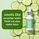 Hempz Cucumber Aloe, Facial Serum, Beauty Actives With Ceramides For Dry To Normal Skin, For Men And Women, 1Oz