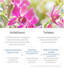 Jmsolution Disney Collection Moisture Nourishing Perilla Frutescens Mask-Moisturizing Nutrition-Korean Skin Care Facial Mask 10Ea