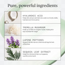 Ursa Major Forest Water Hyaluronic Serum | Deeply Hydrating Natural Face Serum | Boosts Firmness, Plumps Skin & Smooths Appearance Of Fine Lines | Vegan, Cruelty-Free, Non-Toxic | 1.0 Ounce Ursa Major Forest Water Hyaluronic Serum | Deeply Hydrating Natural Face Serum | Boosts Firmness, Plumps Skin & Smooths Appearance Of Fine Lines | Vegan, Cruelty-Free, Non-Toxic | 1.0 Ounce