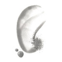 Well People Plant Powderfoliant Renewing Charcoal Exfoliating Powder, Exfoliant For Brightening & Softening Your Complexion, Vegan & Cruelty-Free