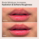 Alpyn Plump Perfectors Limited Edition Set: 1.7 Fl Oz Barrier Cream +0.5 Oz Plumping Lip Mask