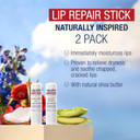Aquaphor Lip Balm Set - Naturally Inspired Lip Repair With Shea Butter, Coconut Oil (0.17 Oz) + Aloe Vera (0.17 Oz)