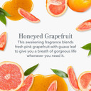 Beekman 1802 Honeyed Grapefruit Tinted + Pure Lip Balm