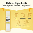 Eczema Honey Nourishing Lip Balm - Organic Chapstick For Sensitive Skin - Daily Lip Moisturizer For Very Dry Lips - Mango Butter & Honey Lip Balm - Natural Lip Care Products (1 Ct) Eczema Honey Nourishing Lip Balm - Organic Chapstick For Sensitive Skin - Daily Lip Moisturizer For Very Dry Lips - Mango Butter & Honey Lip Balm - Natural Lip Care Products (1 Ct)