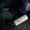 Farmstead Apothecary Lip Balm Gift Set With Pouch - Reusable Pouch Includes 4 -.2 Oz Lip Balms - Boysenberry Vanilla, Fig & Honey, Pear & Almond , Apricot ,1 Each. 100 % Natural, 99% Organic