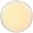 Mongo Kiss Mongo Kiss Lip Balm, Yumberry, 0.25 Ounce